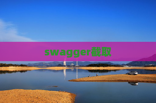 swagger截取